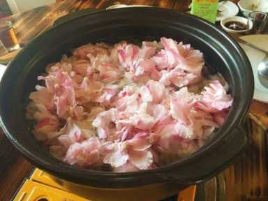 茶花赏完还能做菜，裹面一炸，好吃到停不下来！