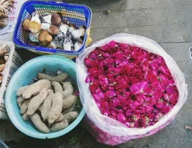 茶花赏完还能做菜，裹面一炸，好吃到停不下来！