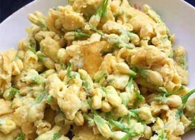 茶花赏完还能做菜，裹面一炸，好吃到停不下来！