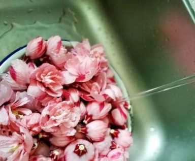 茶花赏完还能做菜，裹面一炸，好吃到停不下来！