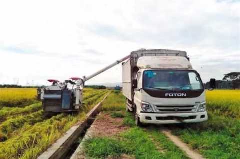 农村乡镇开店做什么生意好,农村做什么生意前景好