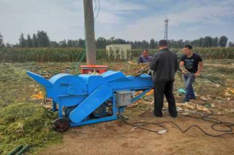 农村乡镇开店做什么生意好,农村做什么生意前景好