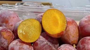 想开个水果店哪里有货源，开水果店怎么选择货源