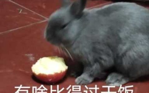 肯德基免费优惠券领取,如何获得肯德基免费优惠券