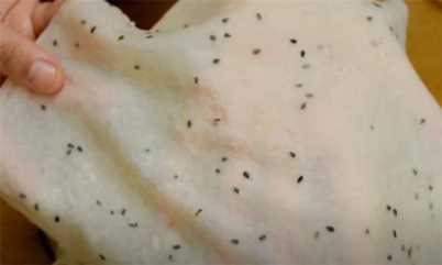 春饼怎么做又软又好吃,如何做出软糯可口的春饼