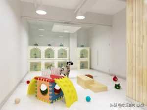 宠物店加盟好还是自营好,宠物店加盟与自营比较分析插图5 选择加盟开宠物店到底好不好