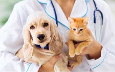 适合女性一人开店项目,稳赚的女性创业项目插图3 非常适合女生创业的五个行业