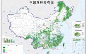 无人机在森林管护中的应用,怎样做好森林管护工作