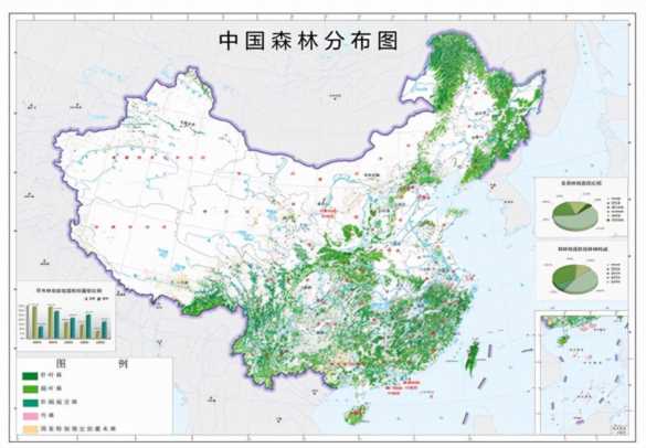 无人机在森林管护中的应用,怎样做好森林管护工作