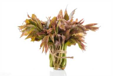 农村闲散土地种什么挣钱快，几千元成本，年收入达六七万元