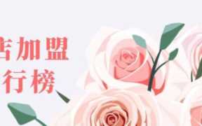 加盟哪个蛋糕店比较火,花店加盟哪个品牌好