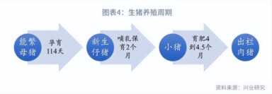 牧原股份企业分析
