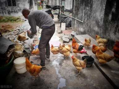 养殖业什么最赚钱农村