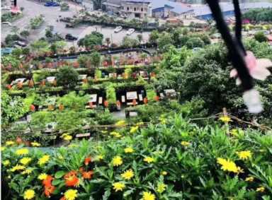 被“舌尖上的中国”收录的重庆火锅，你还不来打卡吗？