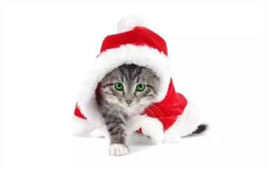 这才叫饰品店，你那是摆地摊！过节挑礼物不头疼！｜饰品开店攻略