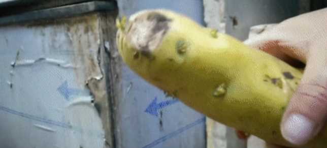 火锅店扫帚捣制冰机，火锅店用什么制冰机