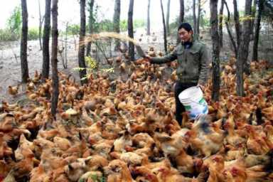 农村致富项目推荐,农村致富项目成功案例分享插图1 13个农村暴利小生意(最适合农村人做的10种小生意)