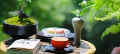 找专业代理记账公司的好处有哪些