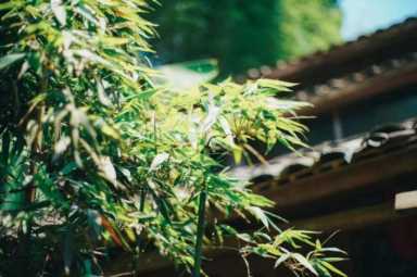 找专业代理记账公司的好处有哪些