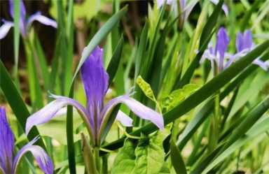 找专业代理记账公司的好处有哪些