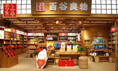 云上禾谷：2023年新手小白创业的行业推荐，小成本也能做成大事业