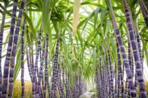 生产装配好的餐具有哪些,装配车间工艺流程插图5 生产装配好的餐具有哪些,装配车间工艺流程