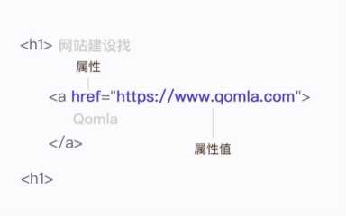 网站建设：从新手到高手