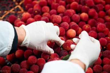 个人创业有什么好项目,个人创业最佳项目探索插图3 普通人可参与的10个高利润行业项目,让你轻松实现财富梦想!