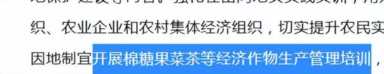重要文件！藏农村3个闷声发财生意，全年无淡季，做好1个就翻身