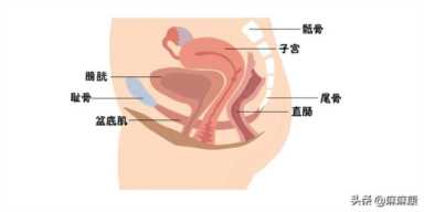 如何提高盆底肌康复效果？这4点需要注意
