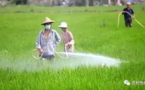 适合农村的代加工项目,农村有什么可发财的好项目