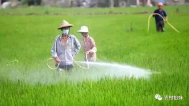 重要文件！2023想去农村闷声发财，首选3个行业，既赚钱还有补贴