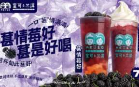 奶茶店加盟排行榜前十名加盟费多少