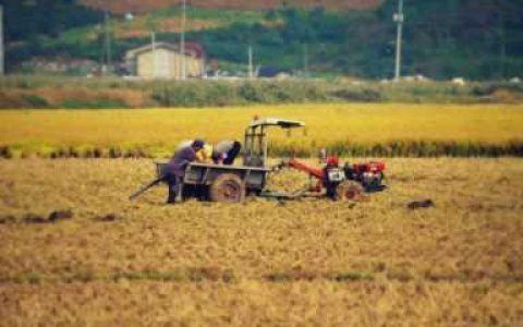 农业致富网,农村买个什么小型机器赚钱