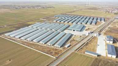 新华全媒+|“羊倌”致富记