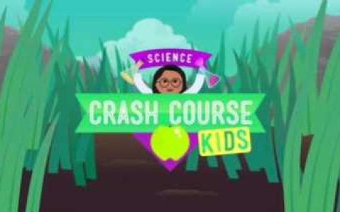 少儿英语教学视频,少儿英语课堂教学视频教程大全