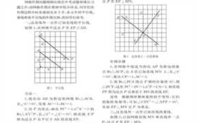 周角的平行线和垂直线怎么画,垂直线与平行线的关系