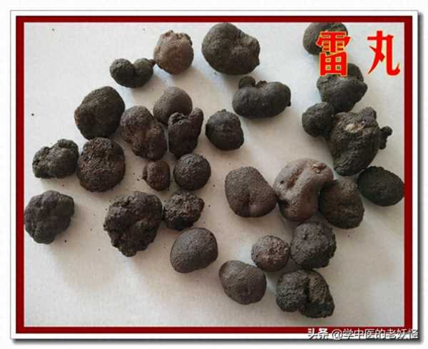 雷丸使用方法,雷丸的用法与用量