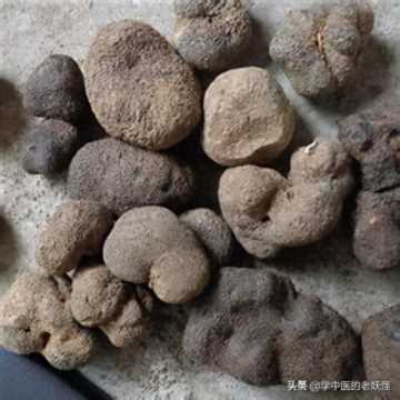 雷丸使用方法,雷丸的用法与用量