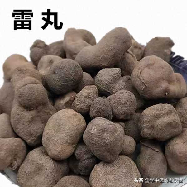 雷丸使用方法,雷丸的用法与用量