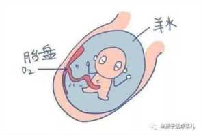 体重表示字母怎么表示,体重简写字母表示插图7 体重表示字母怎么表示,体重简写字母表示