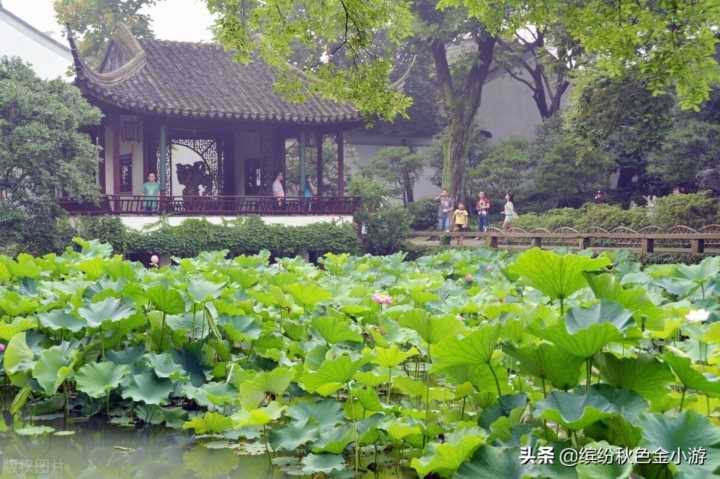 苏州旅游攻略必去景点推荐,苏州自驾游攻略