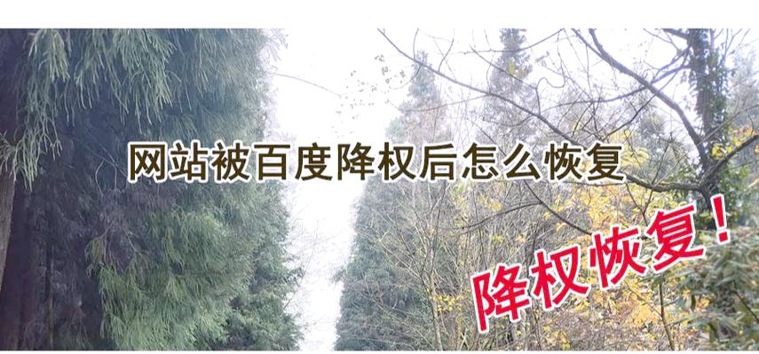 隐性降权能恢复吗？有哪些有效方法