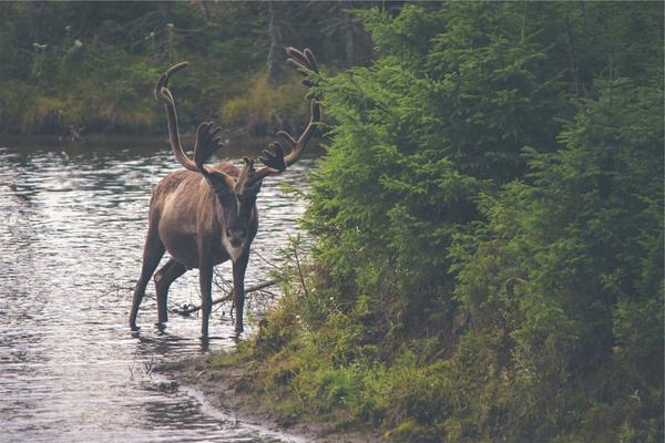 搜索引擎登录工具