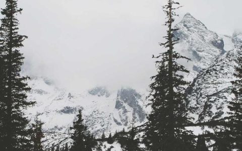 苹果园越狱频道到底怎么样？与威锋网、爱思助手全面对比