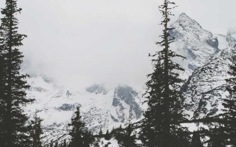 百度公共dns怎么设置，百度dns地址和配置方法全攻略