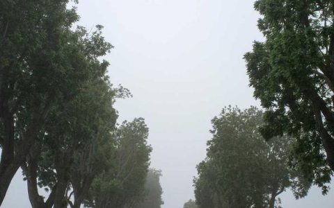 淘宝资讯在哪里看，淘宝最新动态和行业新闻获取渠道