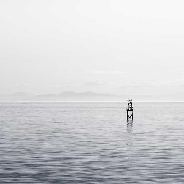 鲨鱼鞋