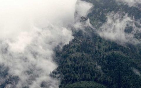 苏宁电器下班时间是几点？背后藏着你不知道的效率真相