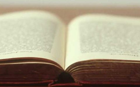 一、根本性质完全不同，别再搞混了